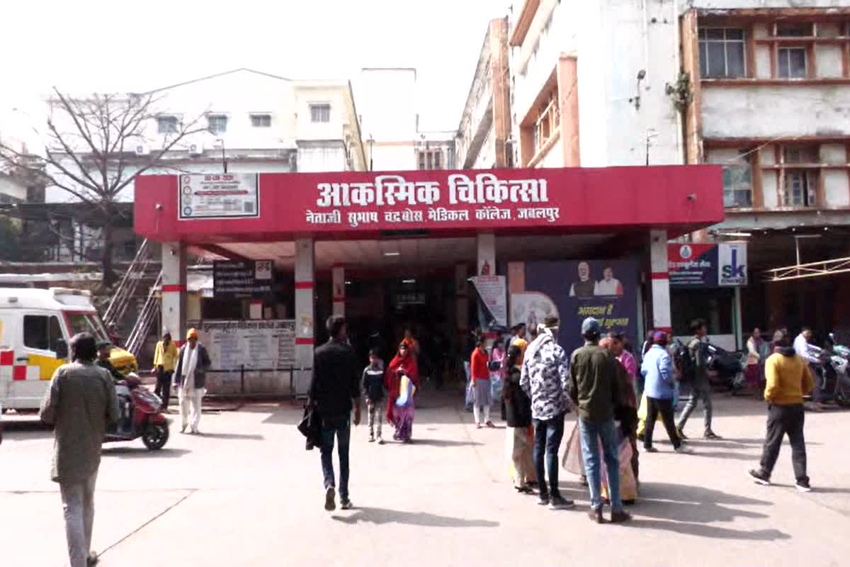 Jabalpur Medical College News : नहीं मिली सुविधा तो परिजन खुद बन गए वॉर्ड बॉय, स्ट्रेचर पर मरीजों को ले जा रहे इधर से उधर, महाकोशल के सबसे बड़े सरकारी अस्पताल में अव्यवस्था का आलम