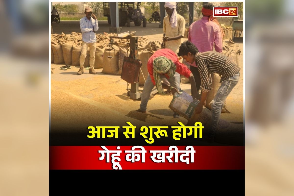 MP Gehu Kharidi 2026: प्रदेश के किसानों के लिए बड़ी खुशखबरी, आज से शुरू होगी गेहूं की खरीदी, प्रति क्विंटल पर मिलेगा इतने रुपए का ​बोनस