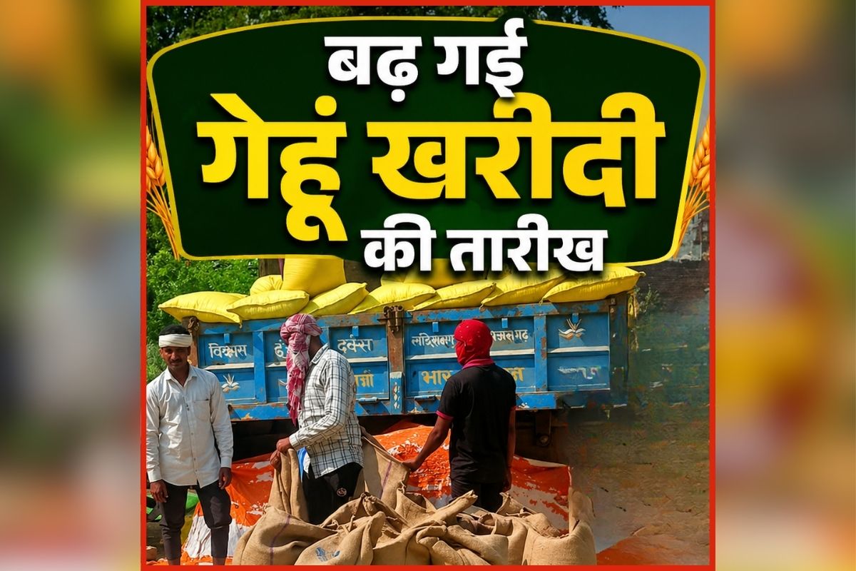 MP Gehu Kharidi 2026: गेहूं बेचने वाले किसानों को बड़ी राहत, बढ़ गई गेहूं खरीदी की तारीख, अब इस दिन तक कर सकते हैं स्लॉट बुकिंग