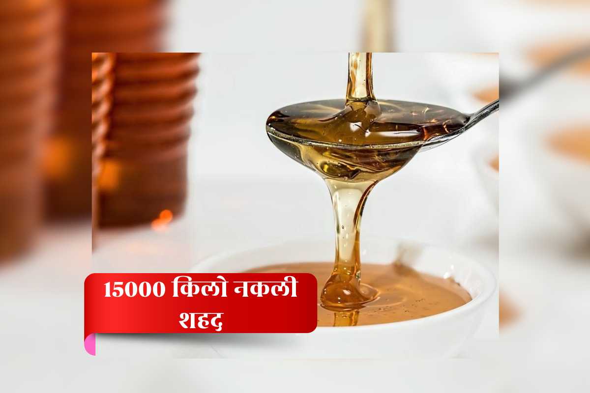 Fake Honey News: नकली पनीर के बाद अब 15000 किलो नकली शहद, कहीं आपने भी तो नहीं खरीद लिया ये फर्जी सामान, खाने से हो सकती है ऐसी लाइलाज बीमारियां
