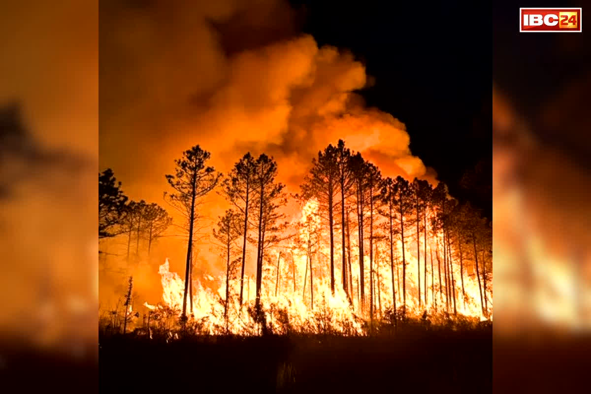Rudraprayag Forest Fire Video: चार धाम यात्रा के बीच यहां के जंगलों में लगी भीषण आग.. अब तक 20 मामले आये सामने, वन विभाग को ‘आगजनी’ किये जाने की आशंका