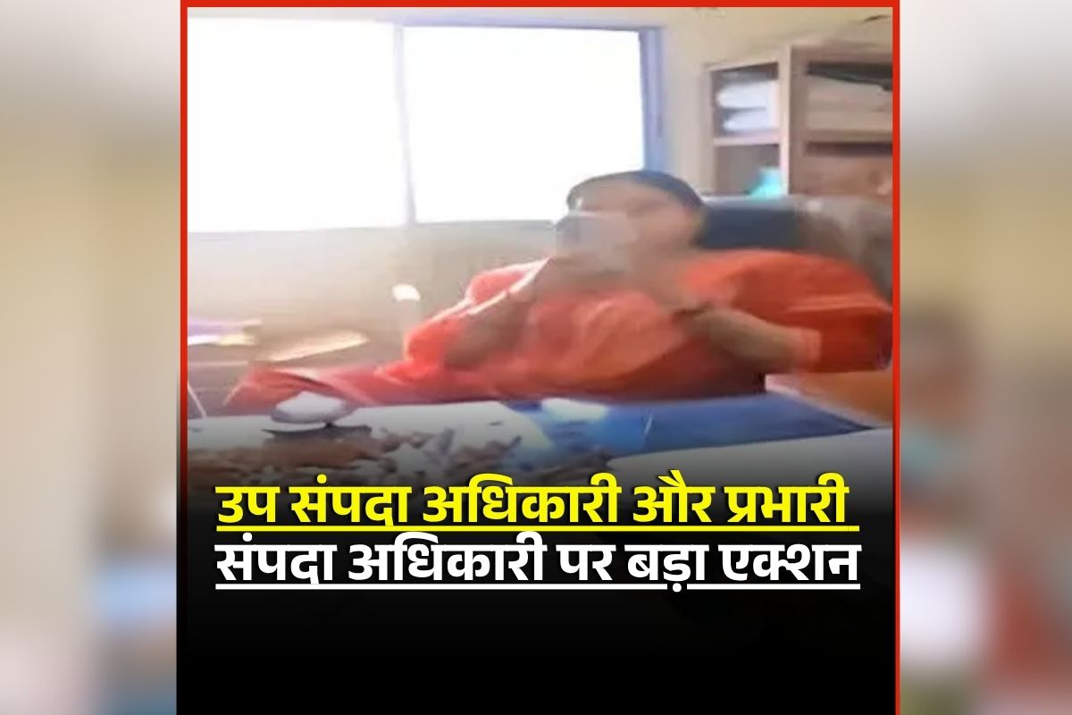 Bilaspur Housing Board Badam Case: हाउसिंग बोर्ड ‘बादाम कांड’ मामले में बड़ा एक्शन, उप संपदा और प्रभारी अधिकारी को किया अटैच, जानें क्या है पूरा मामला?