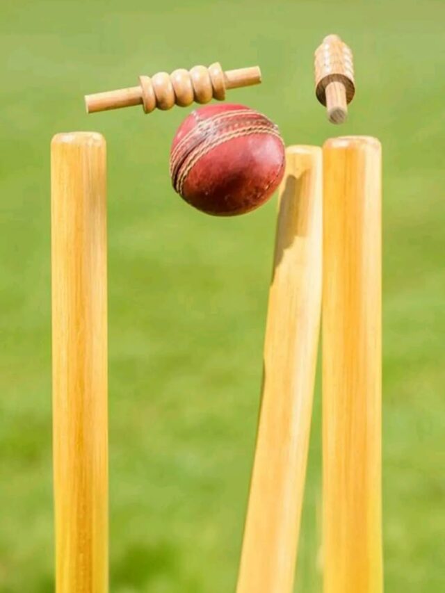 IPL Highest Wiket Taker Bowler List: किस गेंदबाज के नाम है IPL के इतिहास में सबसे ज्यादा रिकॉर्ड?.. जानें इस लिस्ट  भारतीय गेंदबाज शामिल