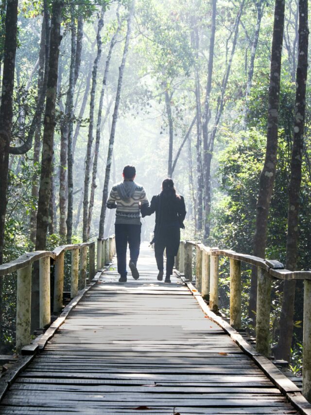 Morning Walk: सुबह की वॉक कितनी देर फिटनेस के लिए बेस्ट है?