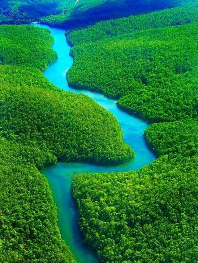 World Most Forest Countries: इन देशों में है सबसे हर-भरे जंगल..  प्रदूषण और भारी शहरीकरण के बीच बचाये हुए है पृथ्वी की सांस, जानें भारत का पायदान