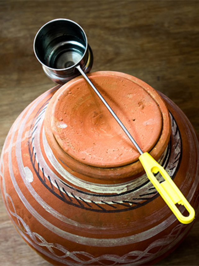 Matke ke Pani Pine ke Fayde: फ्रिज का ठंडा पानी नहीं, गर्मियों में वरदान समान है मटके का पानी, पीने से मिलते हैं कई फायदें