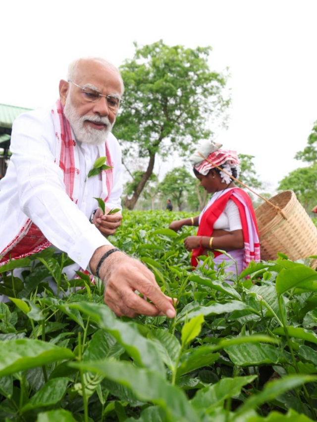 PM Modi Assam visit: असम में चुनाव से पहले बड़ा दांव! पीएम मोदी का चाय बागान दौरा… हर तस्वीर दे रही खास संदेश