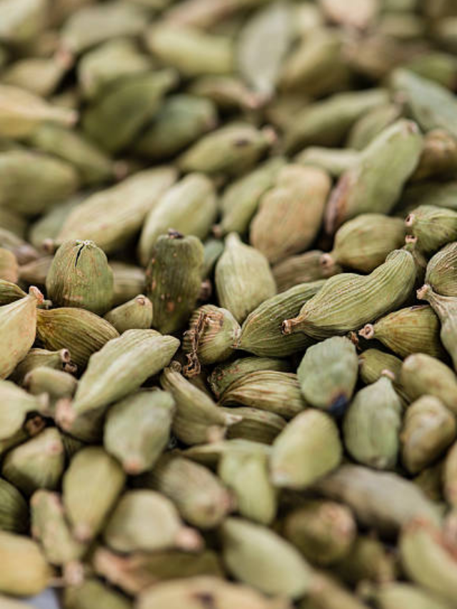 Elaichi Khane Ke Fayde: खाना खाने के बाद इलायची खाने से क्या होता है? फायदे जानकर आप भी लग जाएंगे खाने