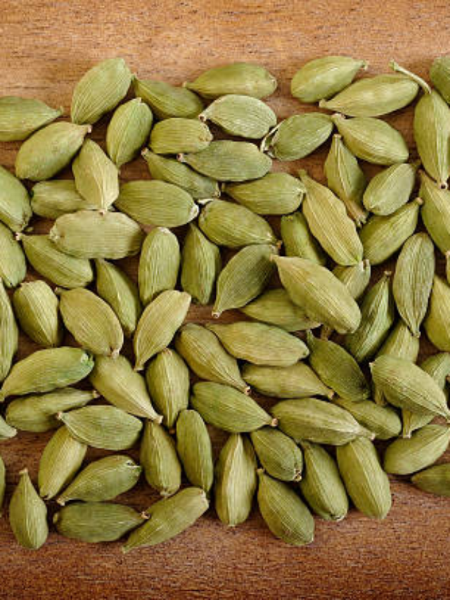 Elaichi Khane Ke Fayde: खाना खाने के बाद इलायची खाने से क्या होता है? फायदे जानकर आप भी लग जाएंगे खाने