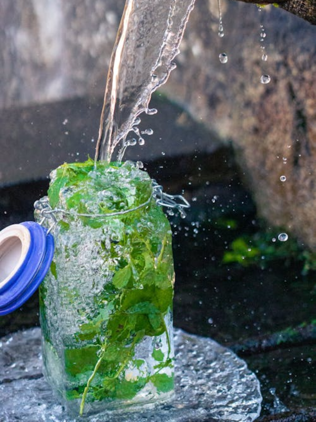 Benefits of Mint Leaves : सिर्फ चटनी नहीं! गर्मियों में 'पुदीना' है सेहत का खजाना,जानें 8 बड़े फायदे