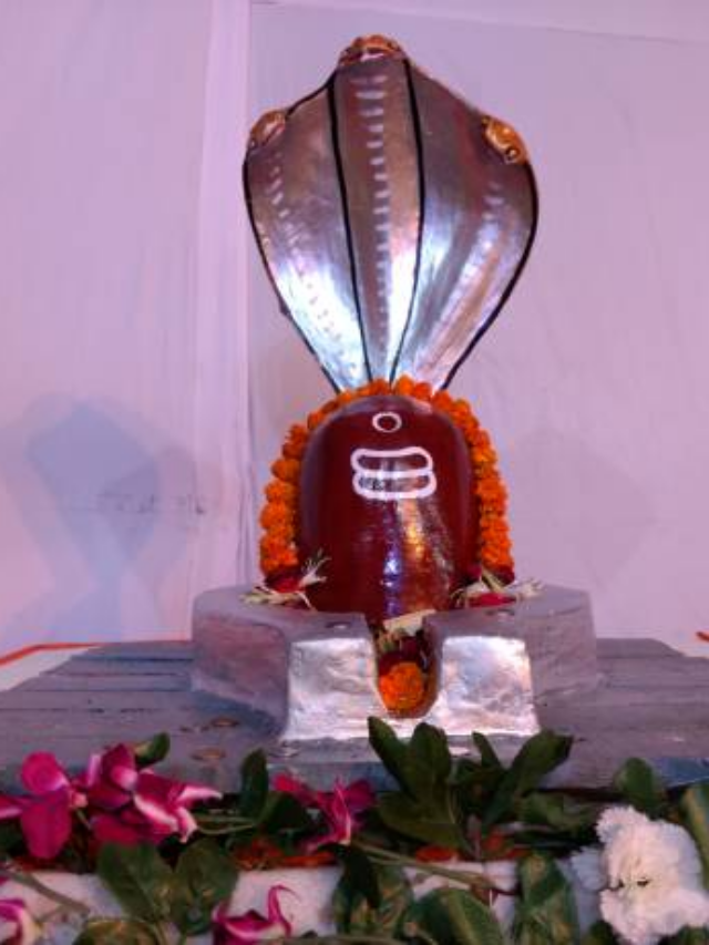 Shiv Pooja ke Niyam: भगवान शिव को प्रसन्न रखना है तो सोमवार के दिन इन चीजों से करें परहेज, नाराज हो सकते हैं भोलेनाथ