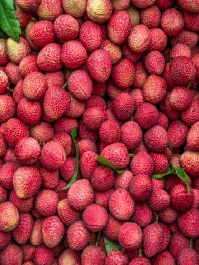 Benefits Of Lychee: Lychee खाने से शरीर को मिलते हैं ये फायदे, जानकर आपको भी नहीं होगा यकीन