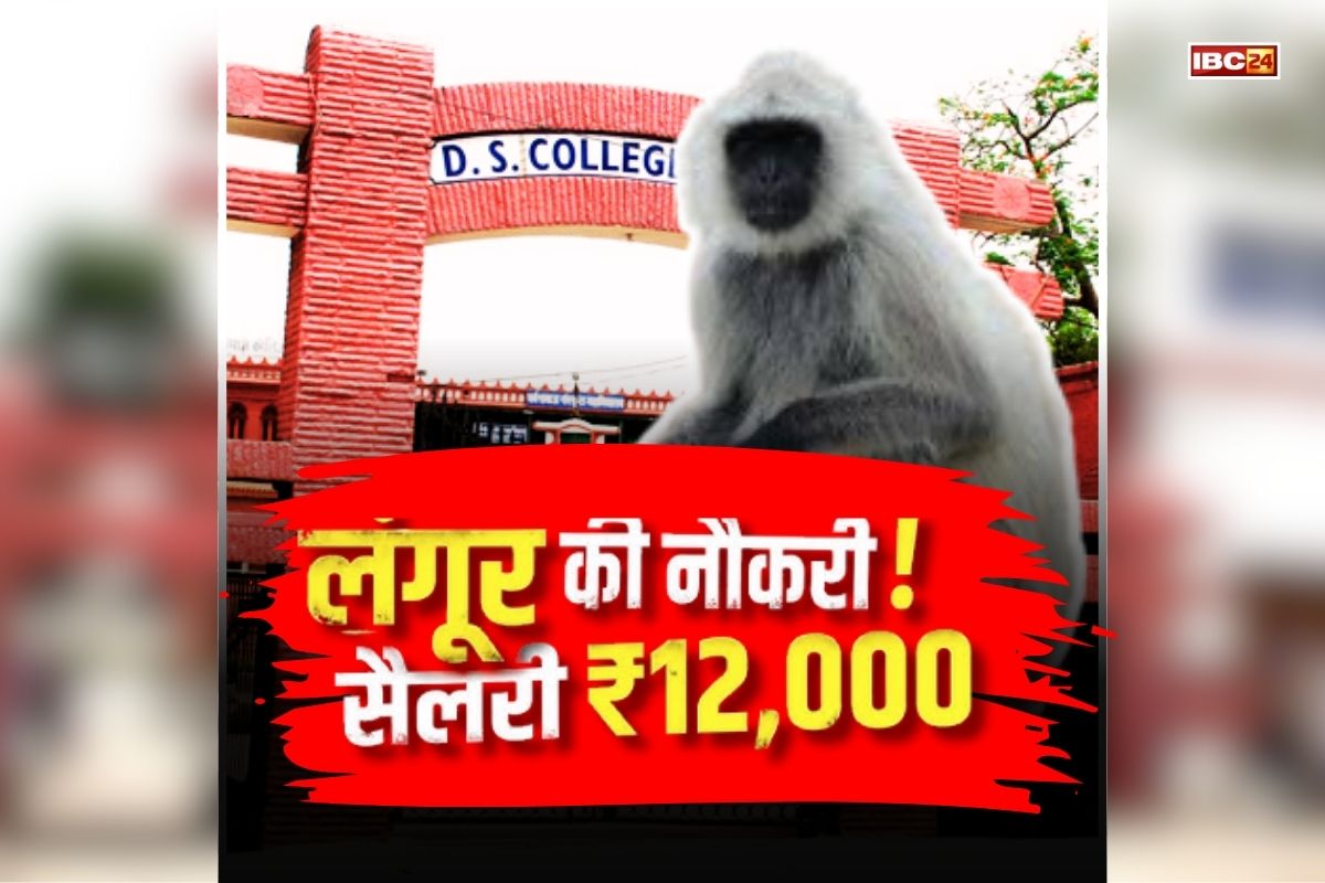 College hire ‘langur’: कॉलेज में लंगूर की लगी नौकरी! मिलता है इतने हजार रुपए सैलरी, जानें सुबह 8 से शाम 5 बजे तक क्या करता है यह काम?