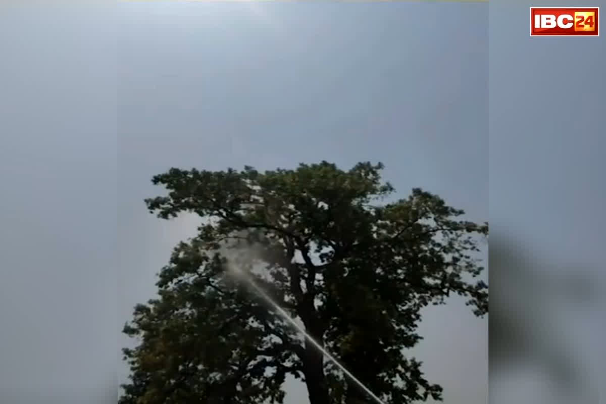 Narayanpur Parrot Rescue Video: अजब-गजब छत्तीसगढ़..! पालतू तोता पकड़ने के लिए बुलवाई गई फायर ब्रिगेड, उसके बाद जो हुआ… इस जिले का मामला