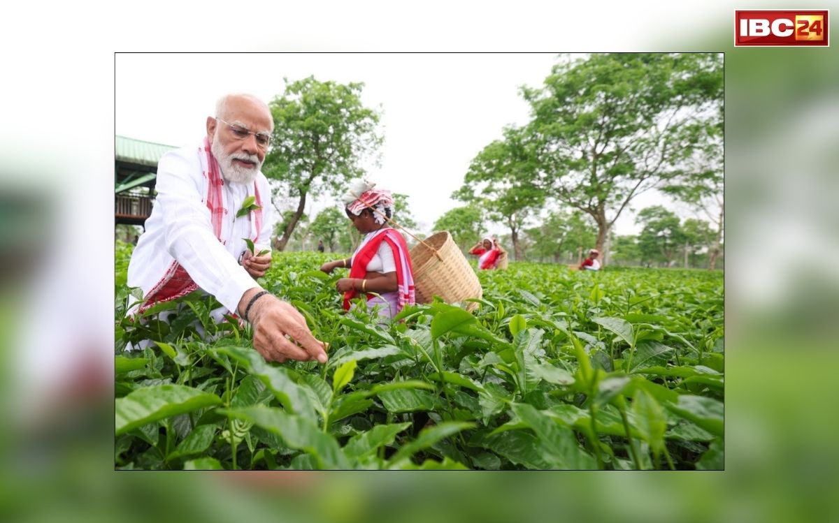 PM Modi Assam Visit: असम में पीएम मोदी का अनोखा अंदाज! चाय बागान पर पहुंचकर महिलाओं से की मुलाकात… फिर सोशल मीडिया पोस्ट में लिखा कुछ खास