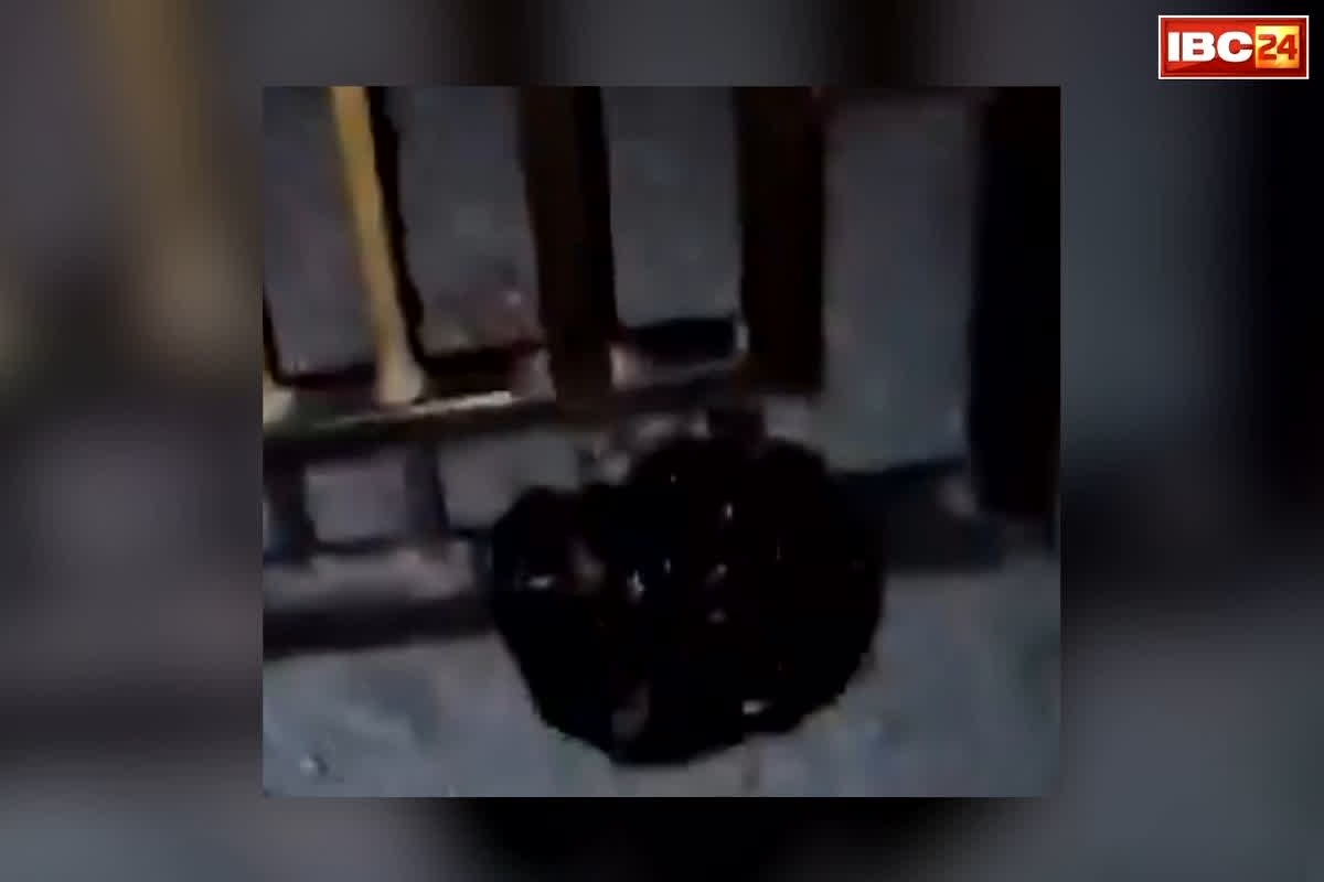 Maharajganj Temple Meat: काली पन्नी में ये चीज भरकर मंदिर में फेंकी, मुस्लिम युवक की शर्मनाक हरकत, सामने आया वीडियो देखकर खौल उठेगा आपका खून