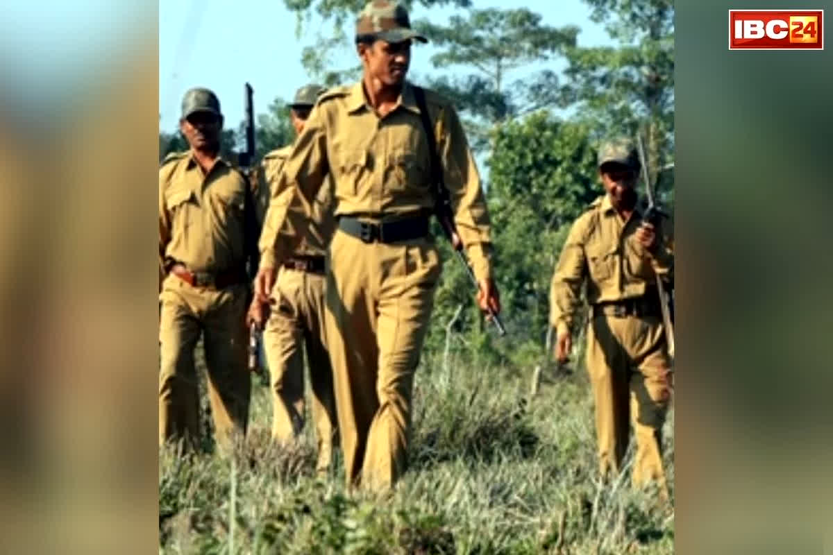 UPSSSC Forest Guard Bharti: वन विभाग में निकली 700 से ज्यादा पदों की बंपर भर्ती! 12वीं पास के लिए सुनहरा मौका, जानिए आवेदन की पूरी डिटेल