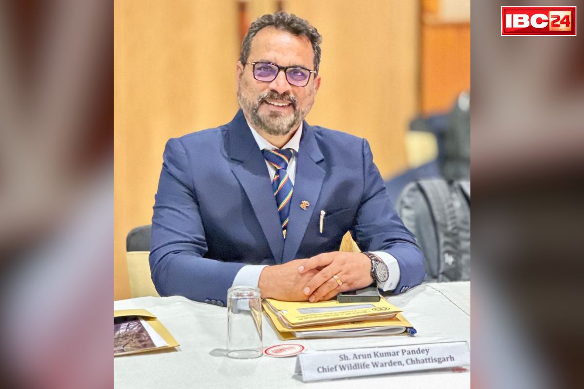 Chhattisgarh PCCF Appointment News: अरुण पांडेय बने प्रदेश के नए प्रधान मुख्य वन संरक्षक.. IBC24 की खबर पर लगी मुहर, भेजा गया था सिंगल नाम