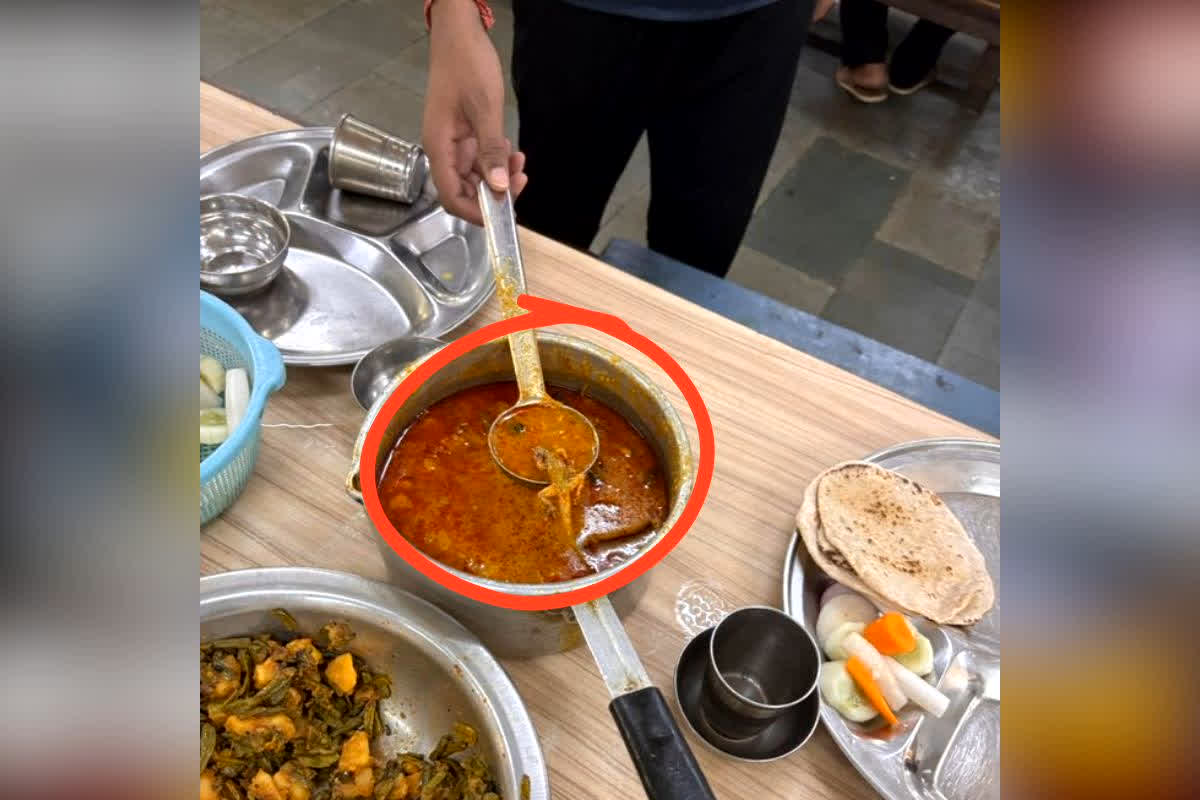 Lizard in Chicken Curry BHU : BHU मेस का खौफनाक सच, चिकन करी के नाम पर परोसा जा रहा था ‘जहर’! थाली में तैरती मिली ये चीज, मच गया हड़कंप