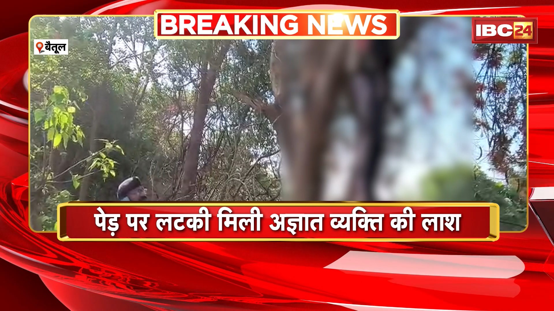 Betul News : पेड़ पर लटकी मिली अज्ञात व्यक्ति की लाश | सूचना मिलते ही मौके पर पहुंची Police