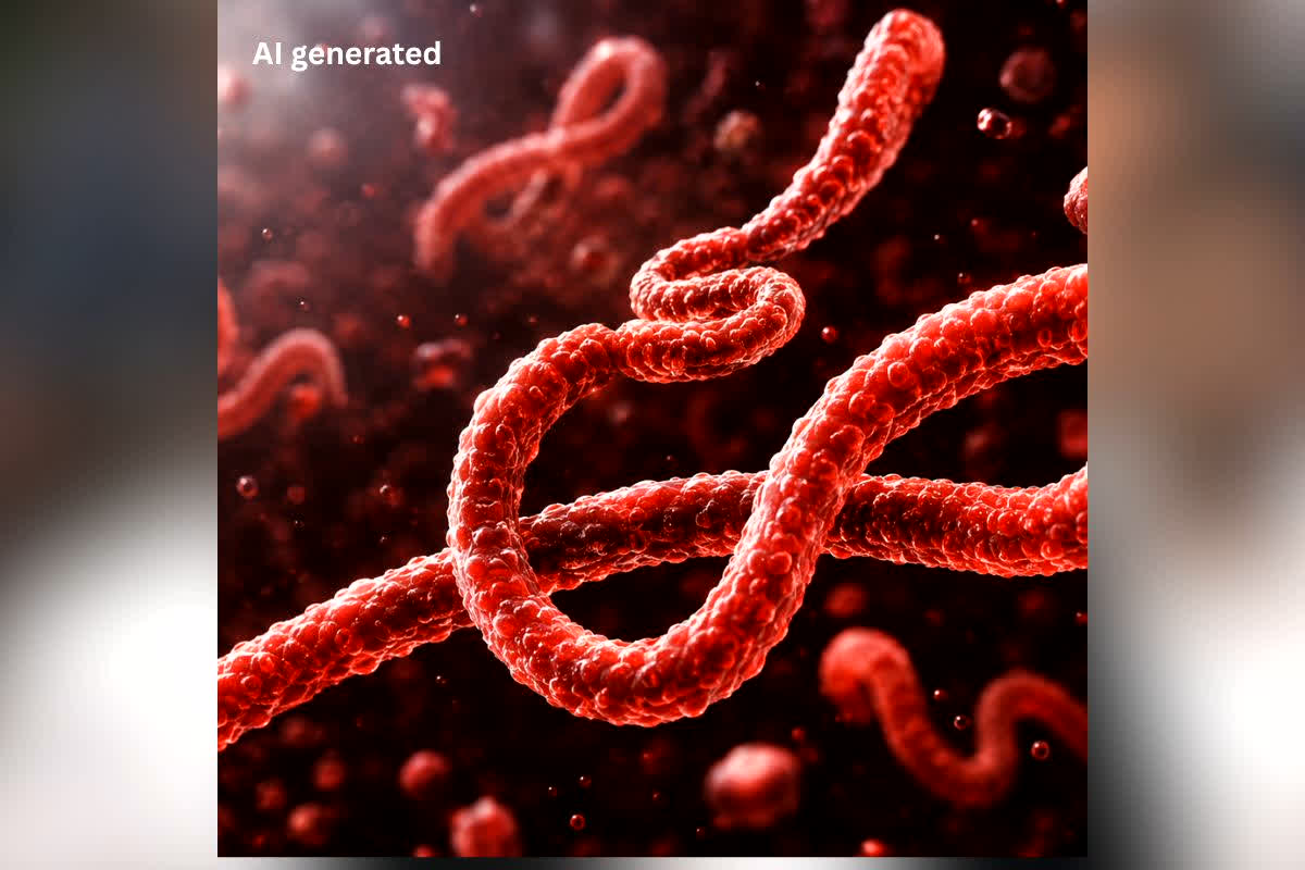 national news image 
