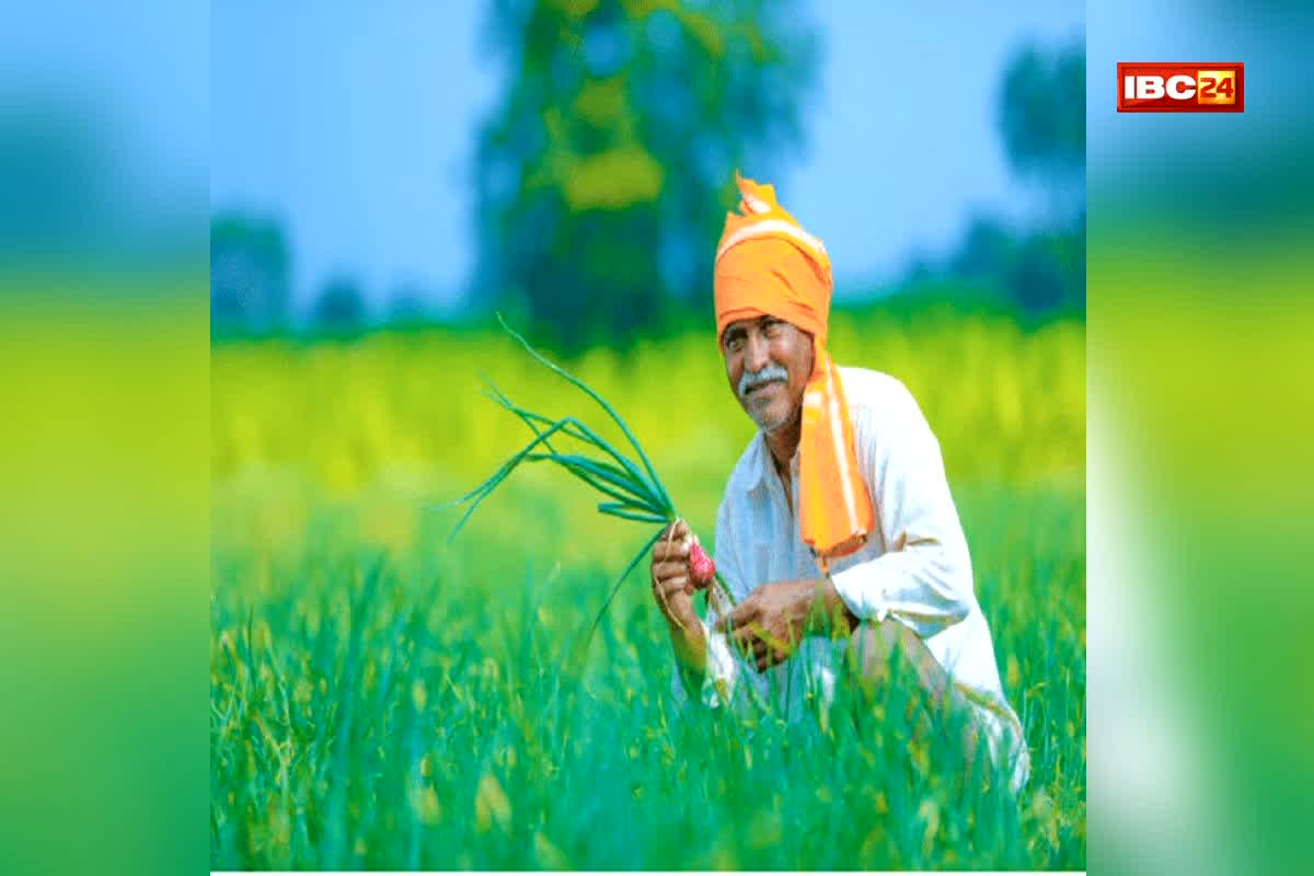 PM Kisan 23rd Installment: 23वीं किस्त से पहले सरकार का बड़ा निर्देश, 30 जून तक पूरा करना होगा ये काम, वरना रुक सकता है पैसा!