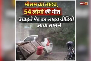 UP Weather News: यहां मौसम का तांडव, आंधी-तूफान और बारिश से 54 लोगों की मौत, उखड़ते पेड़ का लाइव वीडियो देख कांप उठेगी रूह