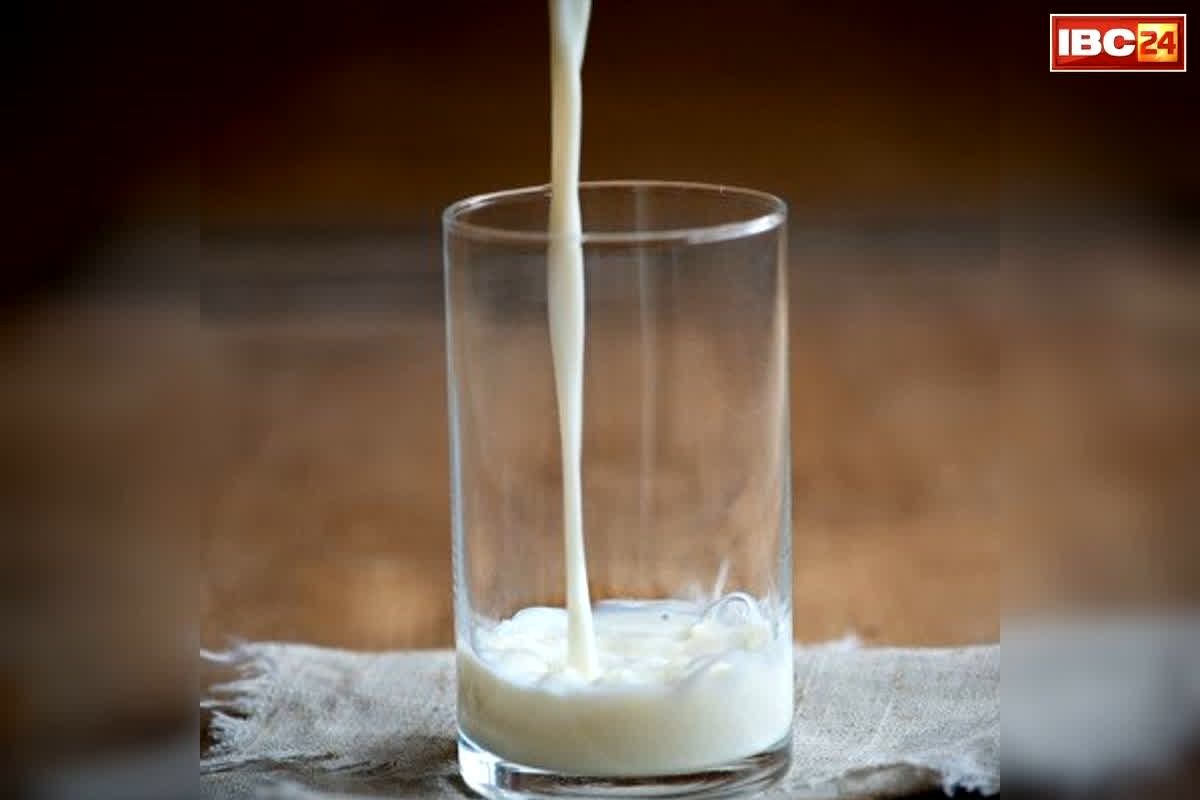 Amul Milk Price Hike 2026: सुबह की चाय से बच्चों के गिलास तक..! अमूल ने अचानक बढ़ाए दूध के दाम, जानिए अब कितना देना होगा…
