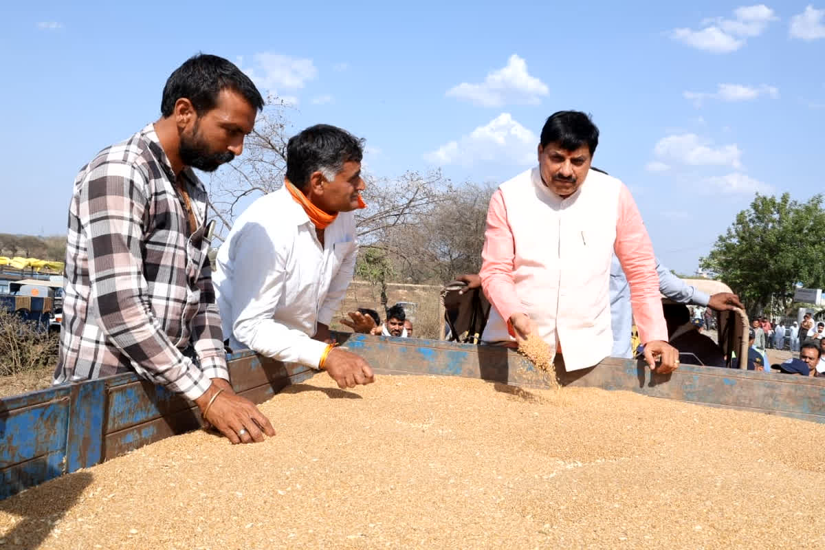 CM Dr. Mohan Yadav News: इस गेहूं उपार्जन केंद्र में उतरा सीएम का हेलीकॉप्टर, डॉ. मोहन यादव ने किसानों को दिया ये बड़ा तोहफा, जानकर ख़ुशी से झूम उठेंगे अन्नदाता