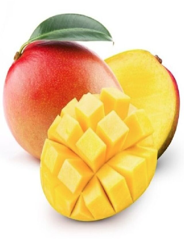 Varieties Of Mangoes: गर्मी में घर लेकर जाए आमों की ये वेरायटी, हर एक में मिलेगा अलग स्वाद, खाते ही दिल हो जाएगा खुश