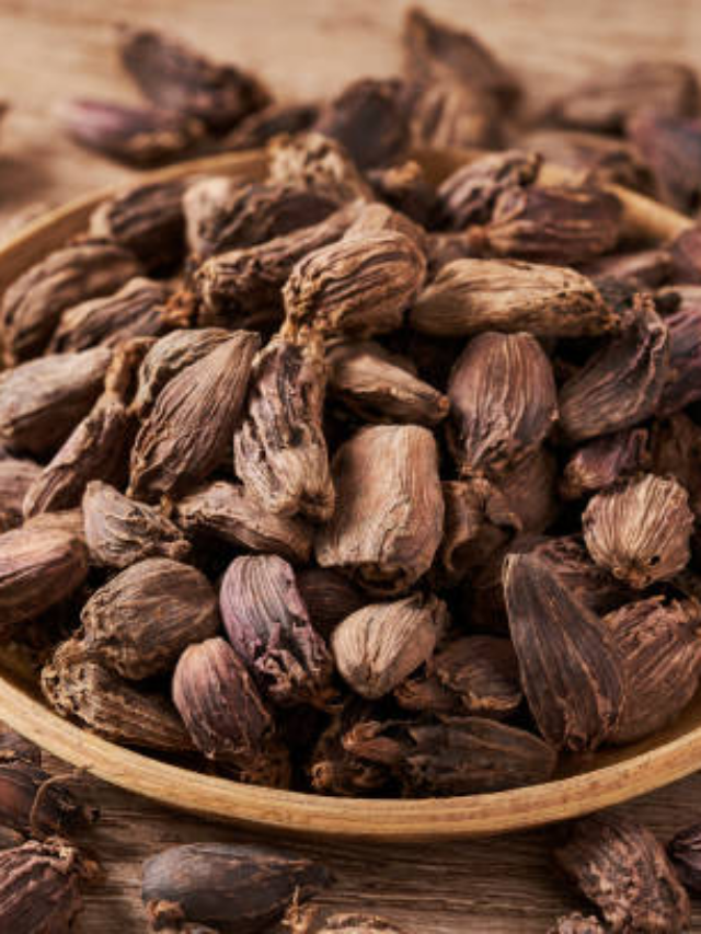 Black Cardamom Benefits: छोटी चीज के बड़े फायदे! बस रोजाना खाली पेट करें इसका सेवन, चमत्कारी फायदे देख कभी नहीं छोड़ेंगे आदत