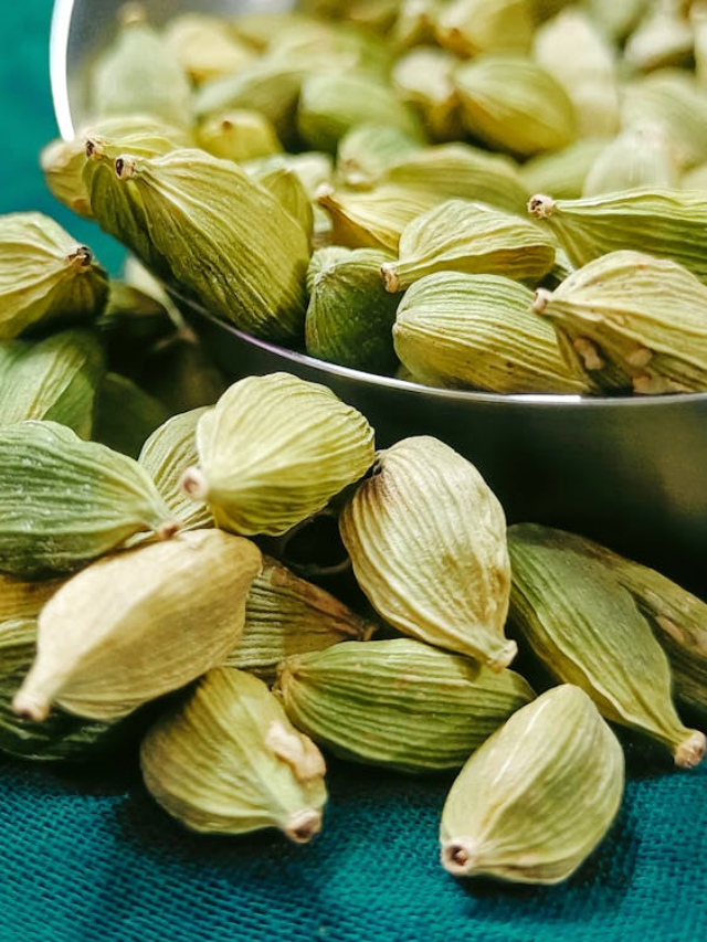 Cardamom water benefits : सुबह खाली पेट पिएं 'इलायची वाला पानी'; 8 दिन में शरीर में होंगे ये चौंकाने वाले बदलाव