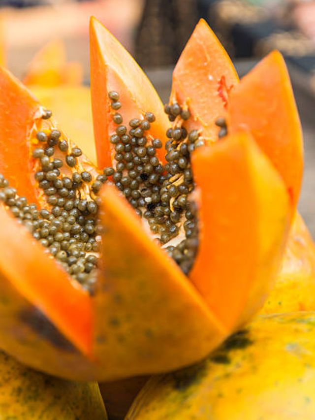 Papaya Benefits for Health: नाश्ते में रोजना शामिल करें ये फल, मिलेंगे कई गजब के फायदे, सेहत की कई परेशानियां हो जाएंगी दूर
