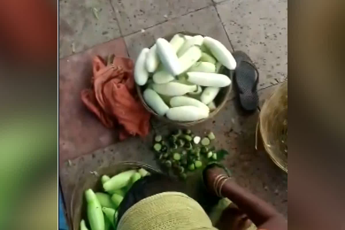 Katihar Junction Cucumber Viral Video: सफर में खीरा लेकर खाने की आदत है? देखिए तेजी से वायरल हो रहा ये वीडियो, सामने आया डराने वाला सच