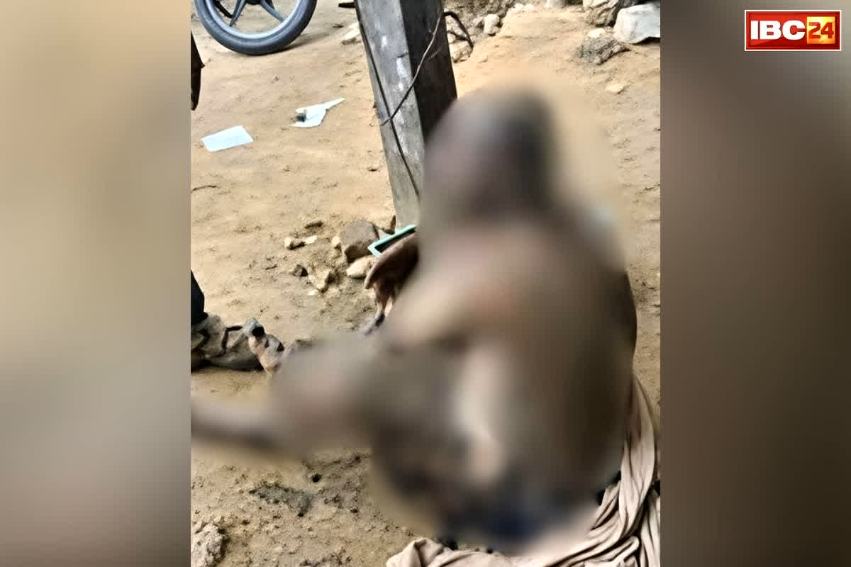 Thalapathy Vijay Supporter Fire: तमिलनाडु में CM शपथ में देरी और विजय के समर्थक का खौफनाक फैसला, खुद को किया आग के हवाले, हालत गंभीर