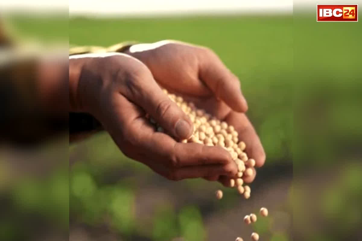 UP Farmers Seed Subsidy 2026: किसानों के लिए बड़ी खुशखबरी! सरकार दे रही आधी कीमत पर बीज, इस तारीख से शुरू होगा वितरण