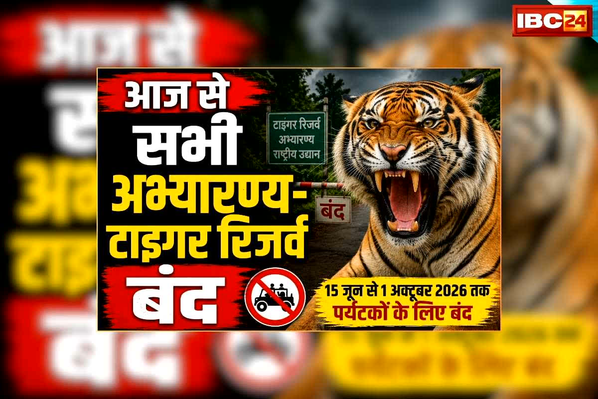 Tiger Reserve in Chhattisgarh Closed from Today: अचानकमार टाइगर रिजर्व सहित छत्तीसगढ़ के सभी अभ्यारण्य आज से बंद, पर्यटक नहीं कर सकेंगे वन्य प्राणियों का दीदार