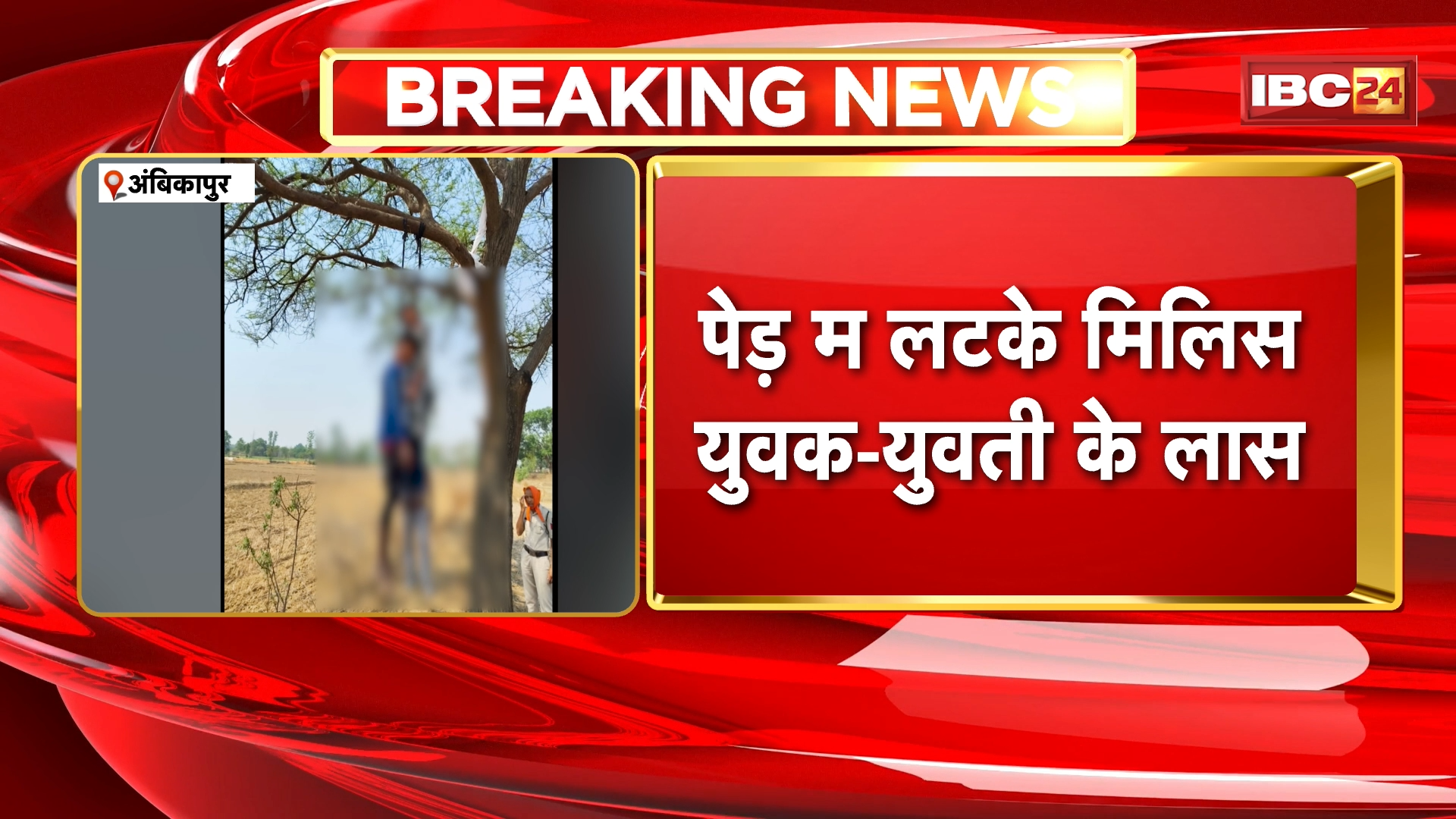 Ambikapur Suicide News : पेड़ पर लटके मिली युवक-युवती की लाश | घटना के जांच में जुटी उदयपुर पुलिस
