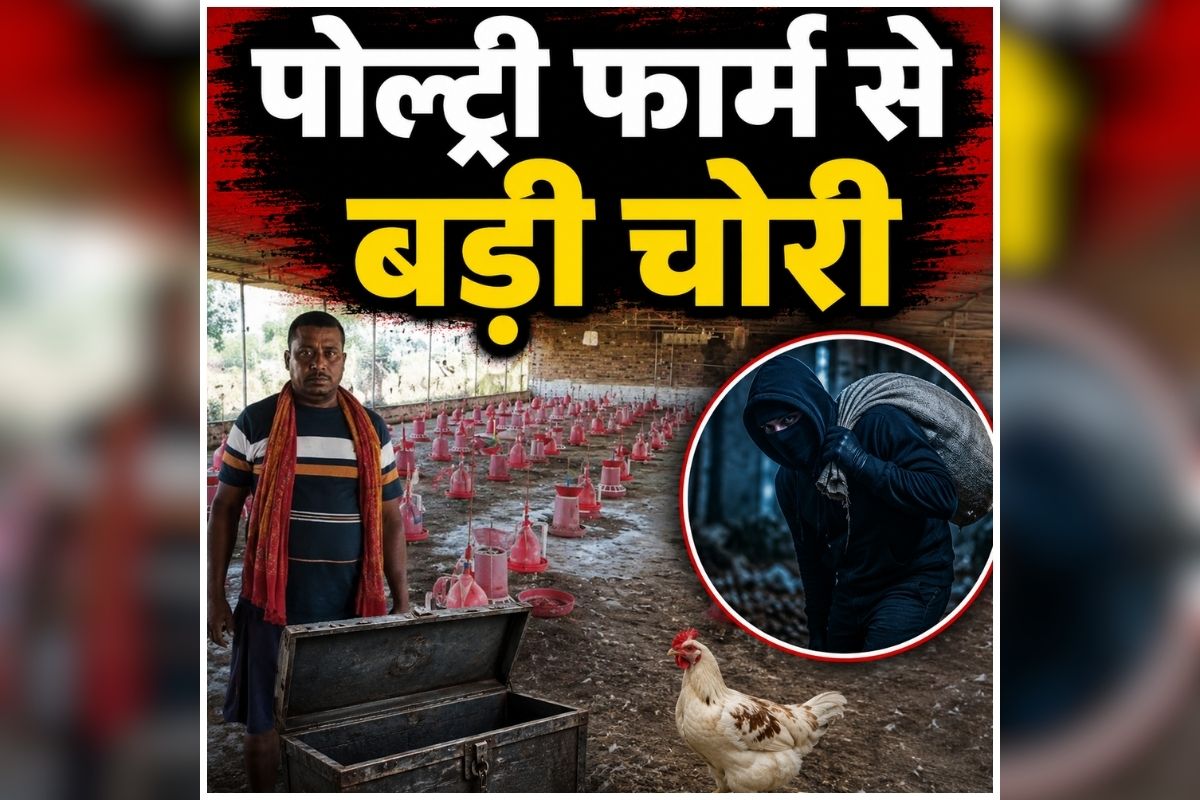 Bihar Crime News: न ताला बचा..न कुछ मिला, पोल्ट्री फार्म का नजारा देख मालिक के उड़ गए होश, जानें कैसे गायब हो गई हजारों मुर्गियां