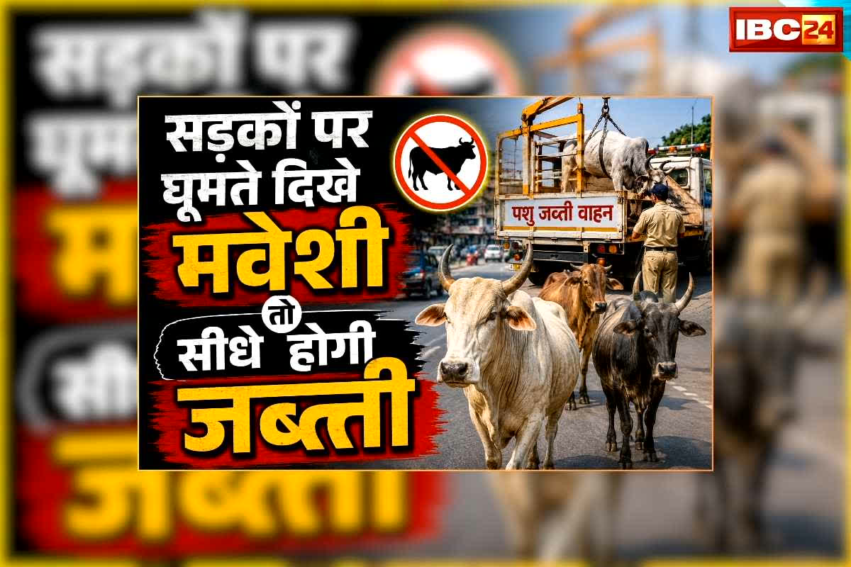 Stray Cattle in Chhattisgarh: छत्तीसगढ़ की सड़कों पर अब नहीं दिखेंगे मवेशी, हादसा रोकने प्रशासन ने लिया बड़ा फैसला, अब खैर नहीं रोड पर गाय-बैलों को छोड़ने वालों की