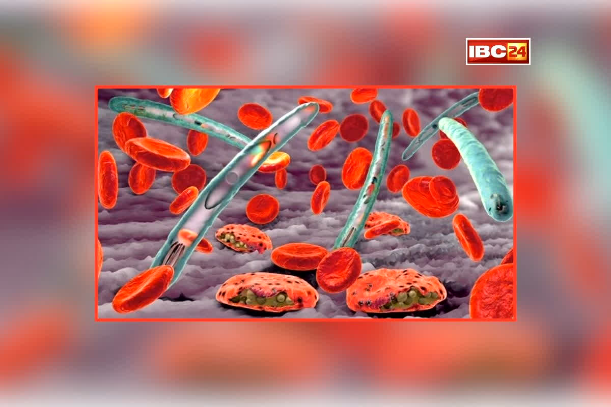 national news image 