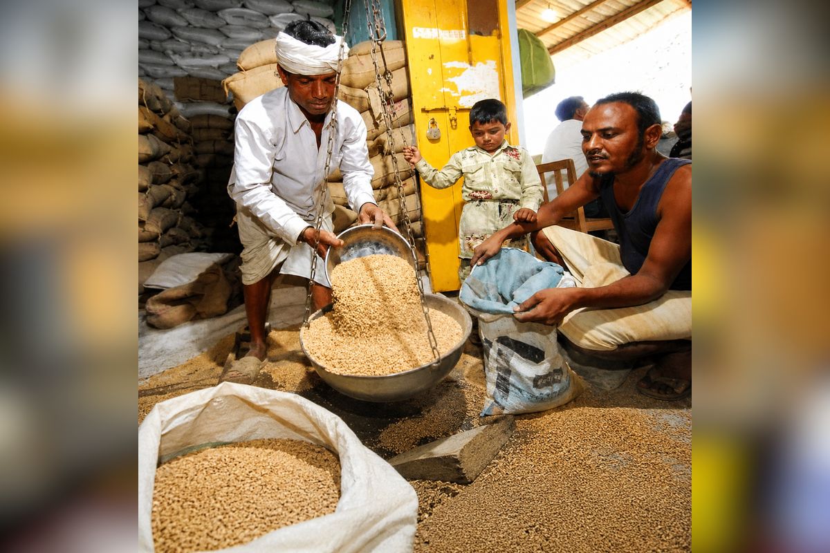 Ration Card Latest Update: राशनकार्ड धारकों के लिए जरूरी खबर, हितग्राहियों को अब नहीं मिलेगी ये तीन चीज, इस वजह से सरकार ने लिया बड़ा फैसला