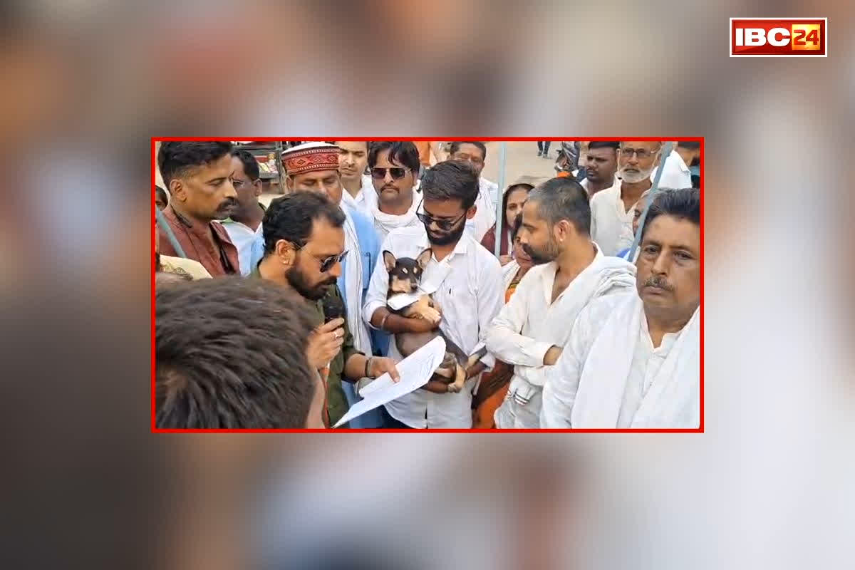 Shahdol Congress Protest News: नहीं मिला कोई अधिकारी तो आवारा कुत्ते को सौंपा ज्ञापन, चर्चा का विषय बना प्रदर्शन कांग्रेस का प्रदर्शन, आप भी देखें वीडियो