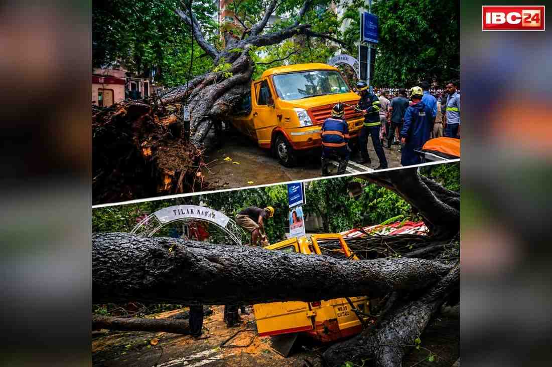 Tree falls on school bus: चलती स्कूल बस के ऊपर ही जा गिरा पूरा पेड़, सवार थे डेढ़ दर्ज स्कूली बच्चे, फ़ौरन शुरु हुआ रेस्क्यू ऑपरेशन लेकिन नहीं बचाई जा सकी जान