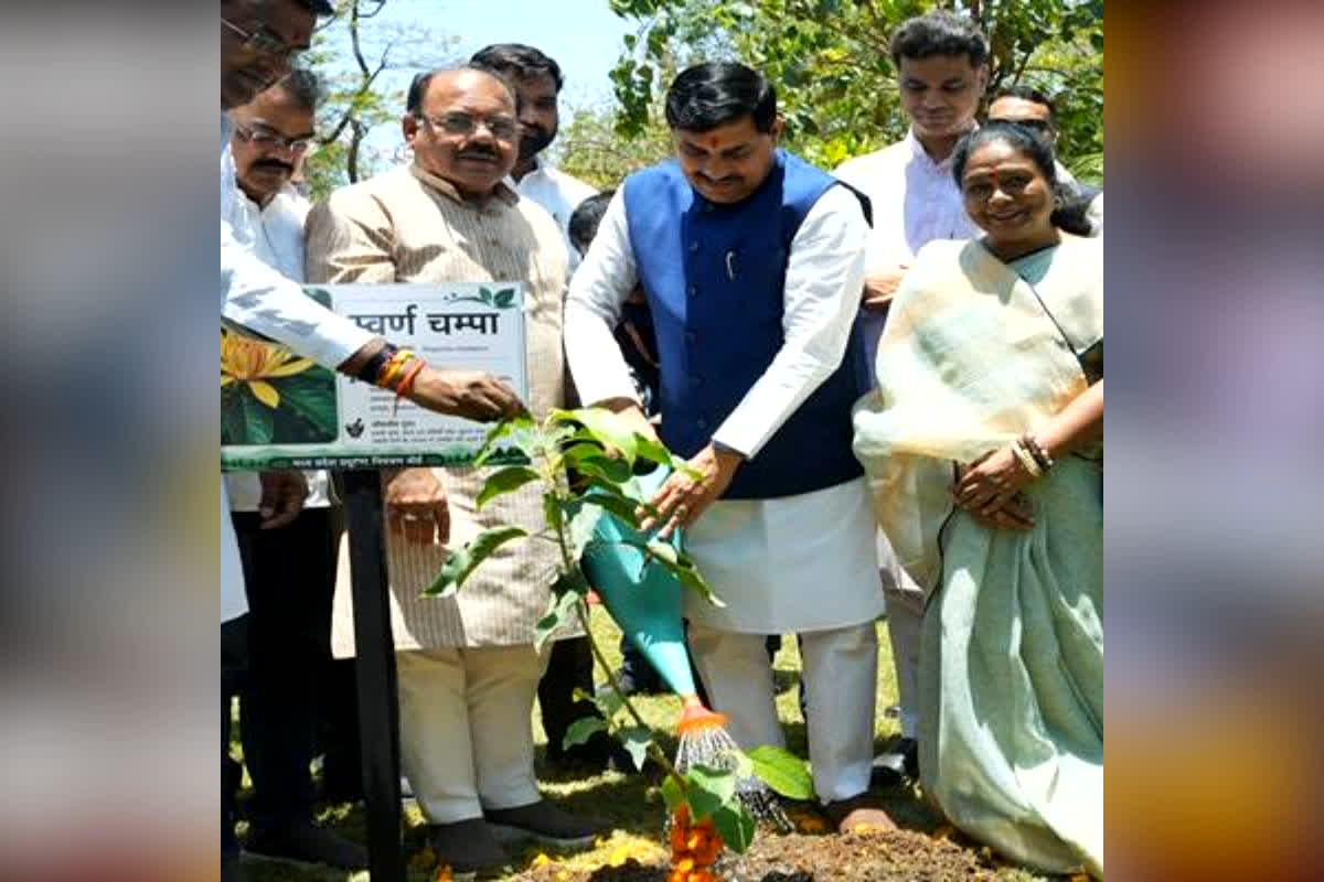 CM Mohan Yadav Bhopal : ‘एक पेड़ मां के नाम’ से CM मोहन यादव का बड़ा संदेश! पर्यावरण दिवस पर प्रदेशवासियों से की खास अपील
