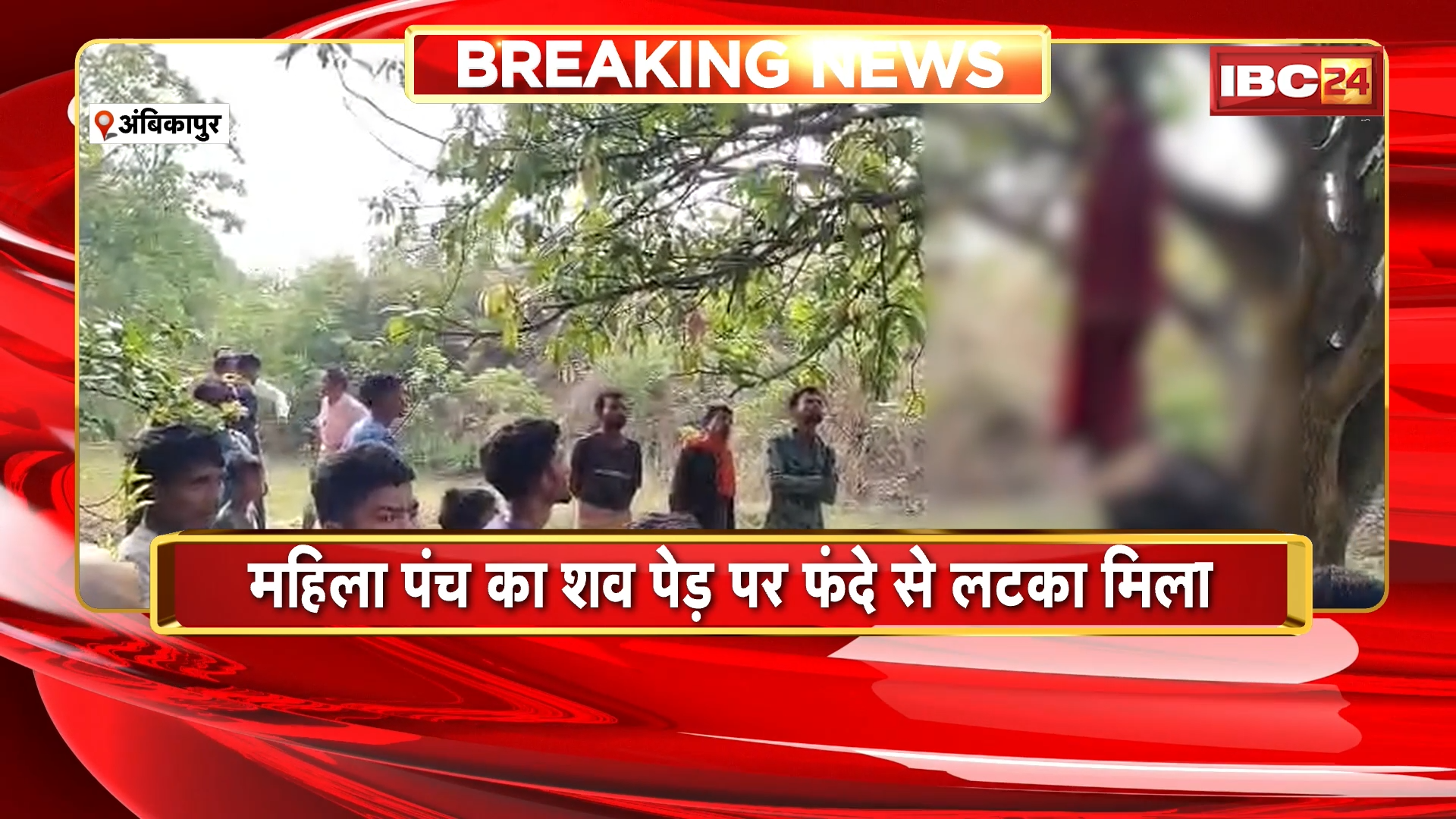 Ambikapur Suicide News: महिला पंच का शव पेड़ पर फंदे से लटका मिला, हत्या या आत्महत्या, जांच में जुटी पुलिस