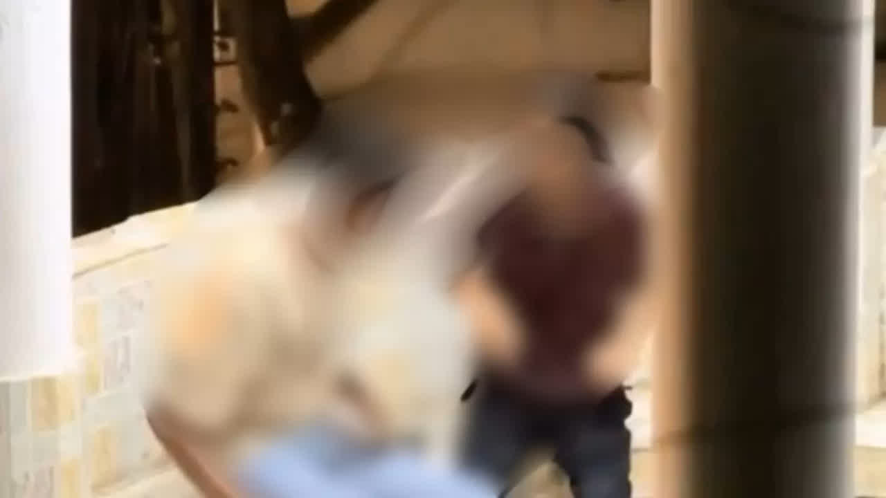 Agartala Viral Video Part 6: अगरतला के ईको पार्क में खुल्लम-खुल्ला रोमांस करने वाले कपल का एक और एपिसोड हुआ वायरल, X Video सर्च करने लगे लोग