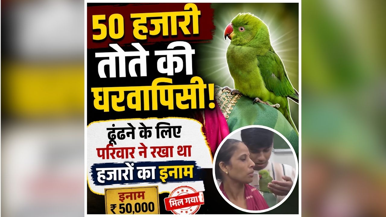 Agra Missing Pet Parrot News: जिसकी तलाश में पूरे शहर में लगे थे पोस्टर, फिर हुआ अचानक चमत्कार! देखकर पूरा परिवार रह गया दंग