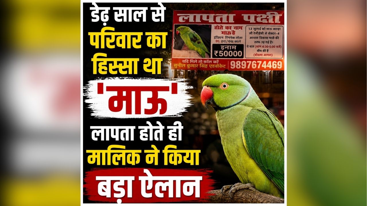 Agra Viral News: घर अचानक गायब हुआ सबसे चहेता सदस्य, तलाशी के लिए परिवार ने अपनाया अनोखा तरीका, रख दिया हजारों रुपए का इनाम, जानिए कौन है ‘माऊ’?