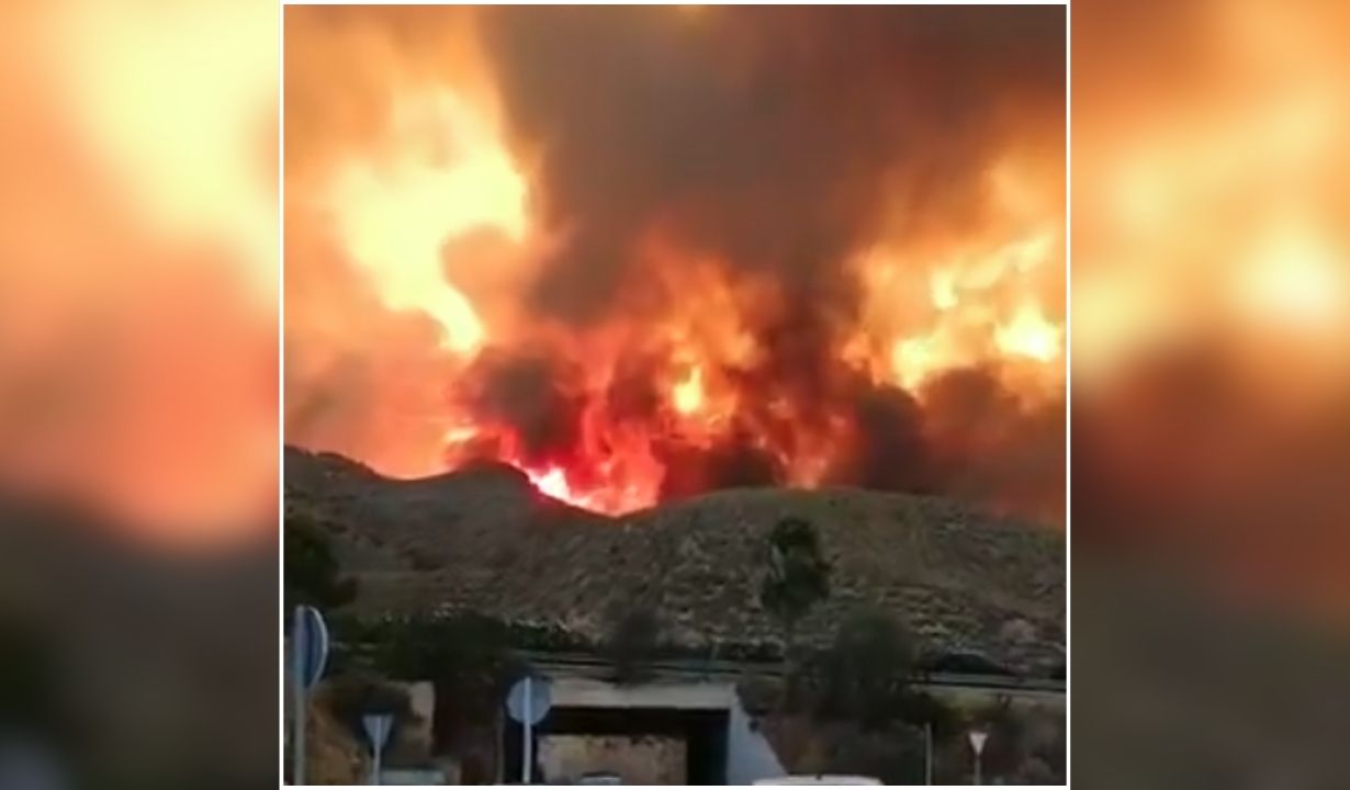 Almeria Wildfire: जंगल में भीषण आग ने मचाई तबाही, 12 लोगों की दर्दनाक मौत से मचा हाहाकार, वीडियो देख सिहर उठेंगे आप